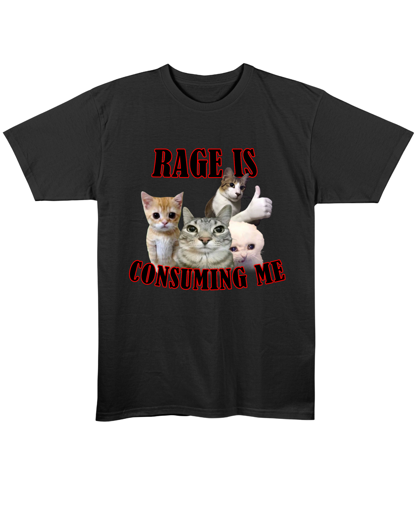 Rage Is Consuming Me - Regular Fit Tee